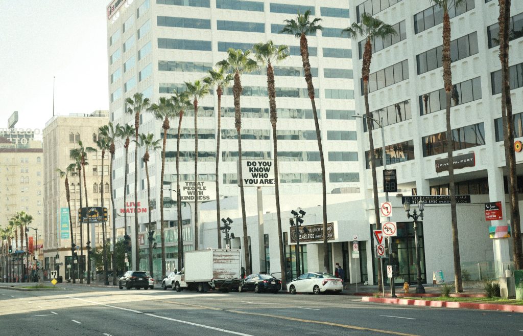 Hollywood Boulevard street with palm trees and buildings in Los Angeles